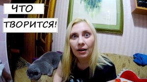 МУЖ НЕ СМОГ ОТКАЗАТЬ СОСЕДУ ЧТО ТВОРИТСЯ !