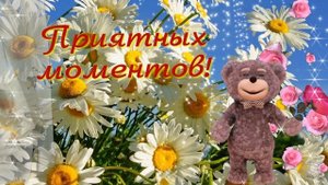 Доброе летнее утро 17 июня! Красивая песня, нежное пожелание! Счастья, улыбок в каждый дом!