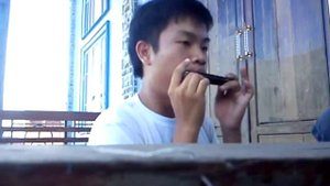 Canon Rock Harmonica tremolo cover by Richard