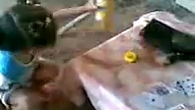 Аиша издевается над щенятами! смотреть онлайн