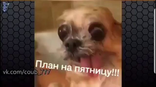 Планы на пятницу )) смотреть онлайн