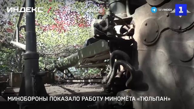 Минобороны показало работу миномёта «Тюльпан»