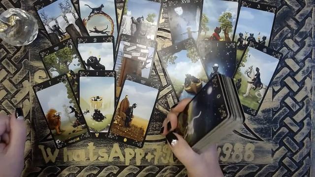 карта таро в банке. что думает сегодня таро. расклад таро на чувства. расклад на отношения таро уэйта. что думает сегодня таро.