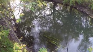 Как поймать щуку . ЛОВЛЯ щуки на спининг