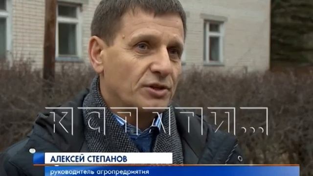 Полтора миллиарда рублей будет выделено в этом году на развитие сельских территорий смотреть онлайн