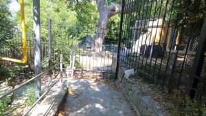 Крым Гаспра санаторий Ясная Поляна, Дворец и парк графини Паниной.