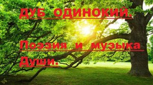 ДУБ ОДИНОКИЙ. Автор стихотворения и видео А. Соколов. Плачет ДУДУК.