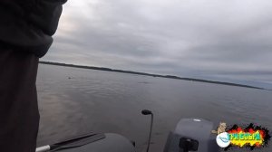 Рыбалка на р.Волге(Иваньковское вдхр.) 2020 год