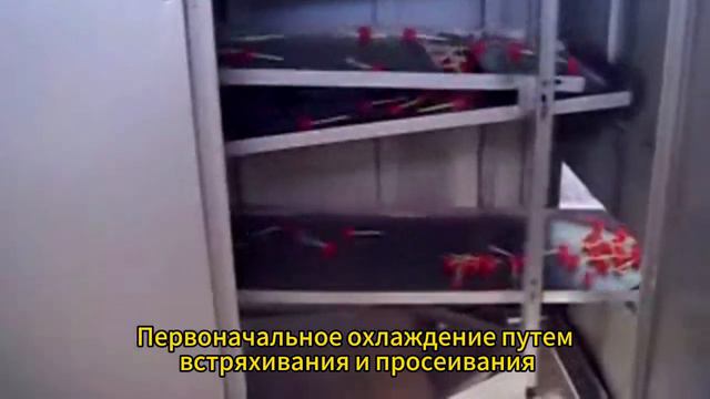 Автоматическая линия по производству леденеца,Нажмите на мое видео, чтобы узнать больше сюрпризов! смотреть онлайн