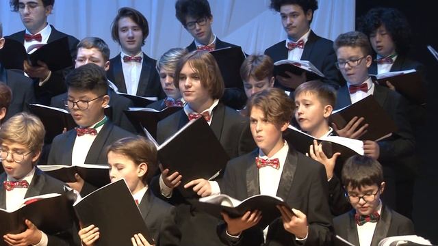 Щедрик (рождественская украинская народная песня, переложение Д.Севостьянова). смотреть онлайн