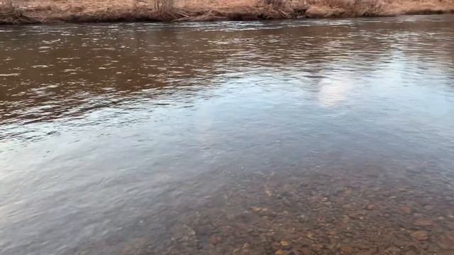 Идеальное место для рыбалки. Ареал обитания хариуса, ленка и тайменя. Вечерка поздней осенью смотреть онлайн