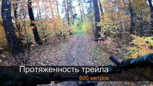 Катаем трейлы на велосипеде: Lesnichka Trail Spot