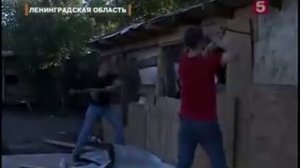 ЦЫГАНСКИЙ ТАБОР ВЫГОНЯЮТ ИЗ ПОСЕЛКА