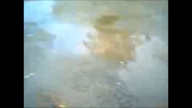 Упала береза в Челябинске в ночь на 21 июля из за сильного ветра смотреть онлайн