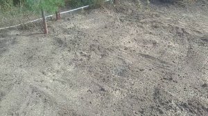 Газон своими руками. Пошагово рассказываю, как посадил посевной газон.