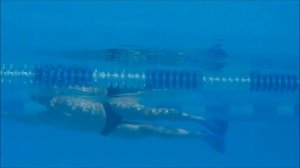 Упражнения для плавания - Ноги баттерфляй на боку