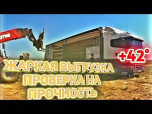 БОКОВАЯ ВЫГРУЗКА В ПОЛЕ +42 | ИСТОРИЯ ДАЛЬНОБОЙЩИКА