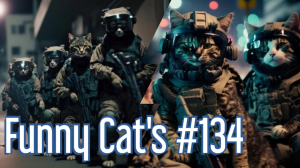 Смешные коты #134
