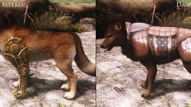 TES V - Skyrim Mods: Meeko Reborn смотреть онлайн