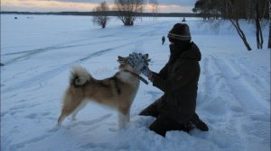 Вот это встреча Чеза