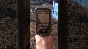 xp deus и x-terra 705 на мусорном огороде, деус и тëрка 705 на огороде