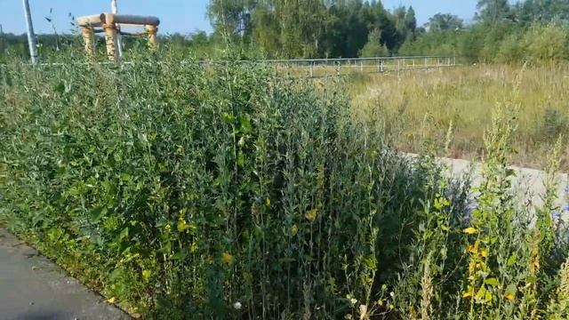 ГСВГ. Luckenwalde, расположение 73-ОАБМО в/ч11620, 4.07.2022