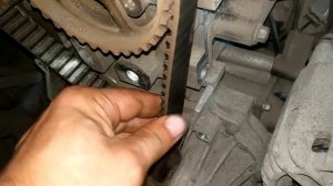 ремень ГРМ на грани обрыва / Ford Focus 2