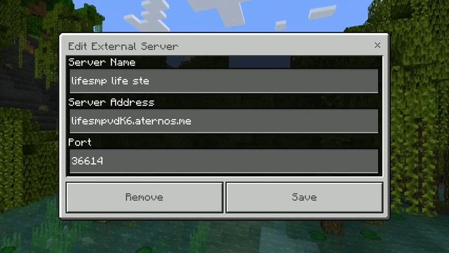 please join my lifesteal mcpe and java смотреть онлайн