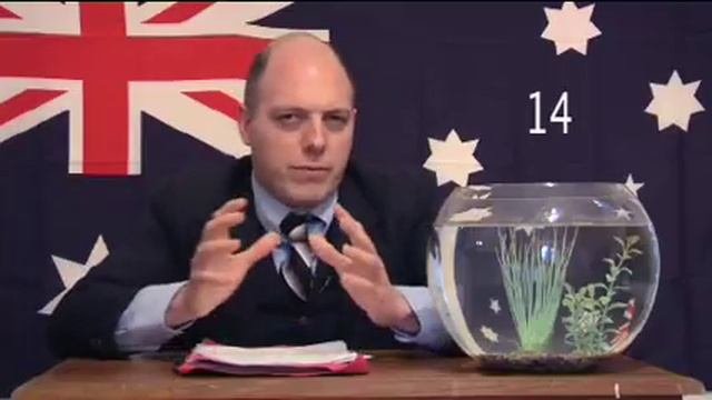 Barton Plant - Fish