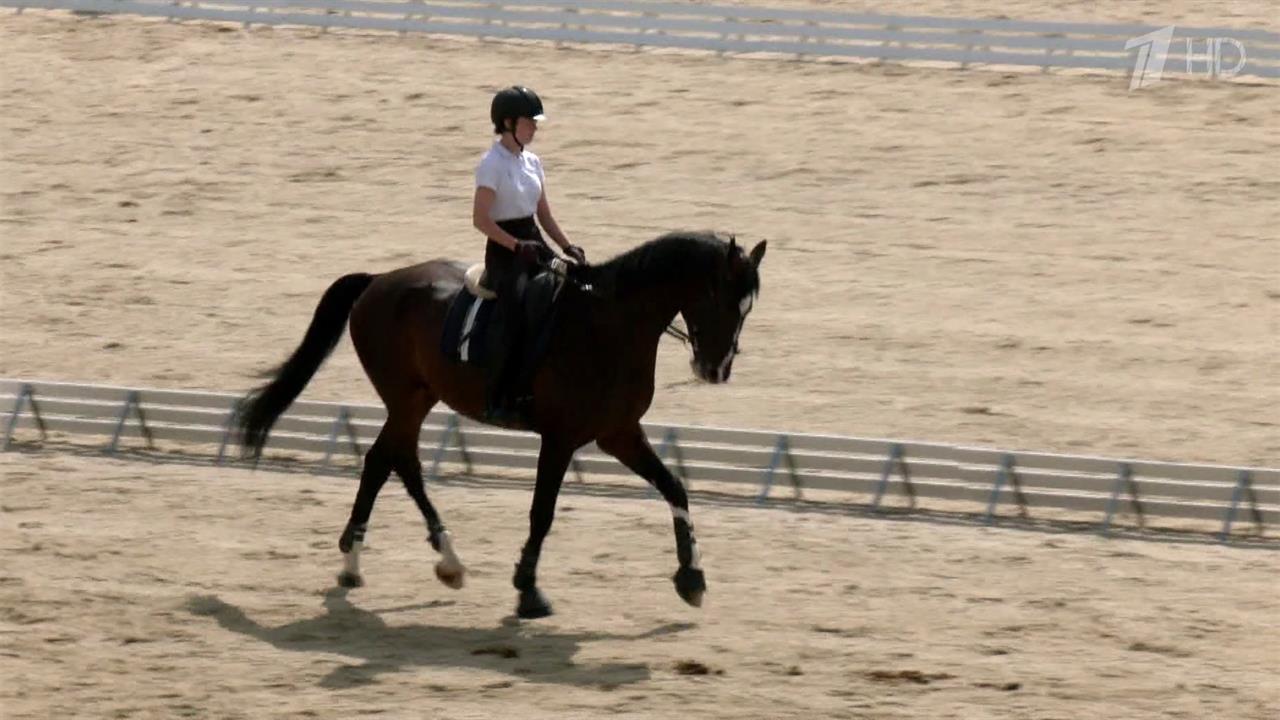 Конноспортивный комплекс "Битца" готов принимать профессионалов и всех желающих