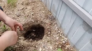 ?Клумбы-бардюры для высадки цветов, из того что есть?