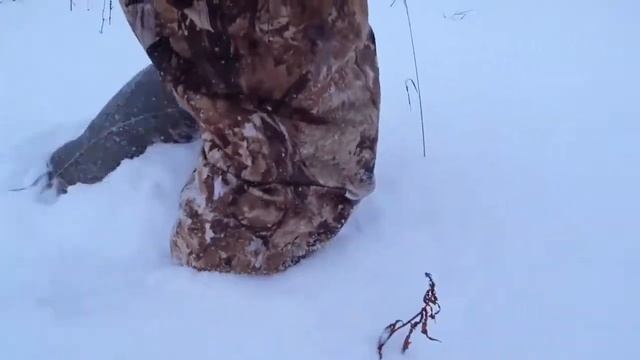 Снег засыпал дорогу УАЗ не проходит//Snow blocked the road, the car and the dogs got stuck смотреть онлайн