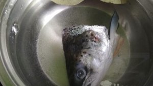 Рыбный суп из головы лосося