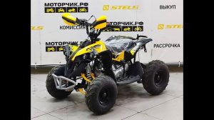 Квадроцикл YACOTA RENEGADE Mini 110