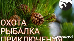 ловушка на фазана часть 2.