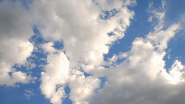 Две любви (Стихи моей мамы) смотреть онлайн