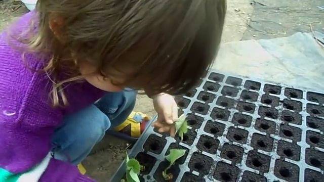 Кто делает всю работу? На самом деле! ПОЗИТИВ!!:)) смотреть онлайн