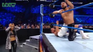 Low blow on Finn Bálor (compilation)