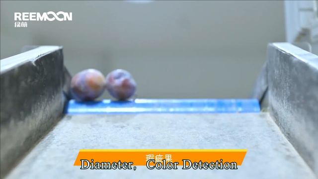Reemoon Plum Sorting Tech смотреть онлайн