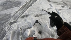 Зимняя рыбалка 01 03 2021. Часть 1:ловля хищника, щука обкусила блесну !