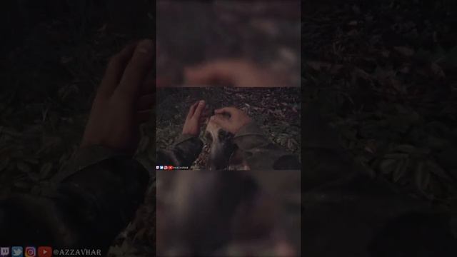 Pet The Dogs in These PC Games Part 7 #Shorts смотреть онлайн