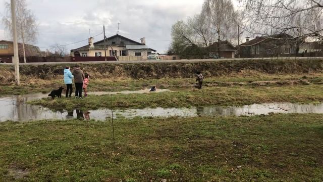 Я РЖАЛ ДО СЛЁЗ / Мальчик плавает в луже в деревне / Смешные моменты с детьми / Это Россия детка