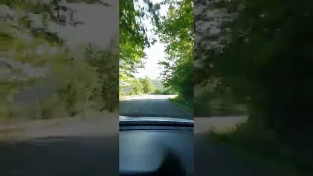 Мюссерским заповедник, 11 июля 2021