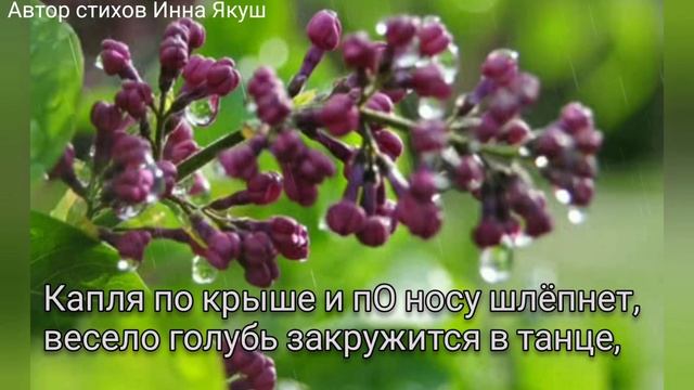 Боже, спасибо. Добрая музыкальная открытка. Автор стихов Инна Якуш.