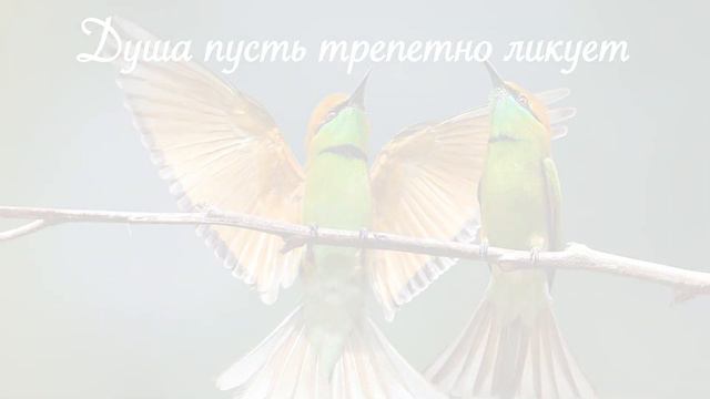 ХРИСТИАНСКОЕ Пожелание на СУББОТУ!