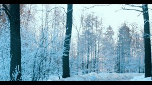 Юрий Спиридонов и гр. Отставник - Первый Снег.