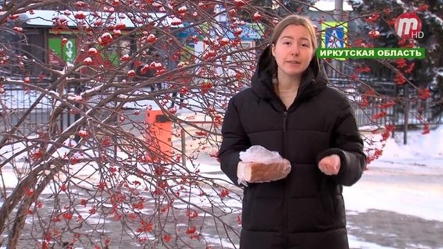 Восточный Альянс (выпуск от 18.11.2022)