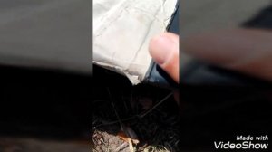 NORFIN ВЕЙДЕРСЫ!!! ВСЯ ПРАВДА ПОСЛЕ 8 ДНЕЙ РЫБАЛОК!!! (1часть)