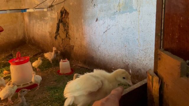 02-08-2023 смотреть онлайн