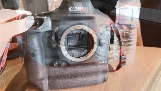 Canon EOS 1DX Mark III - 16FPS Continuous Shooting смотреть онлайн